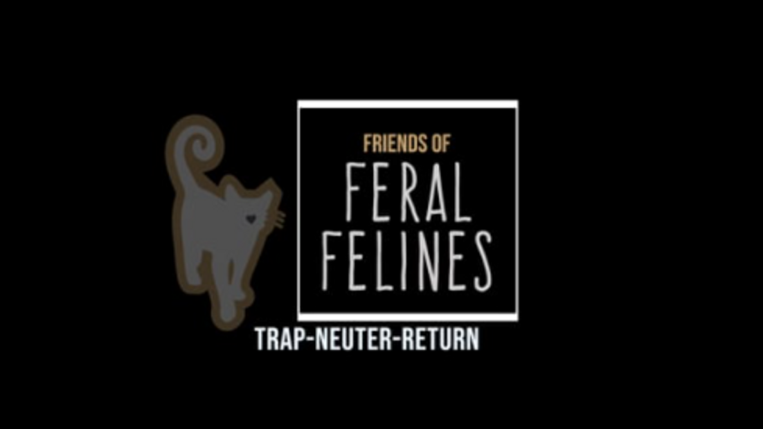 Friends of Felines Kansas